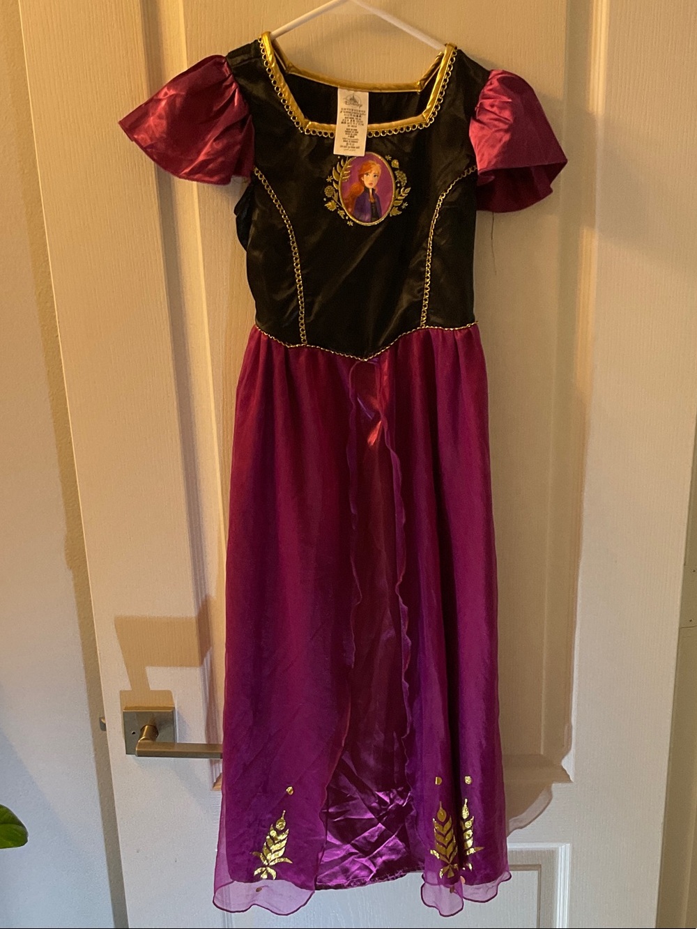 Disney Purple and Black Princess Dress with Gold Trim